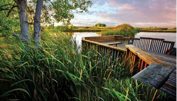 Wildlife Refuge