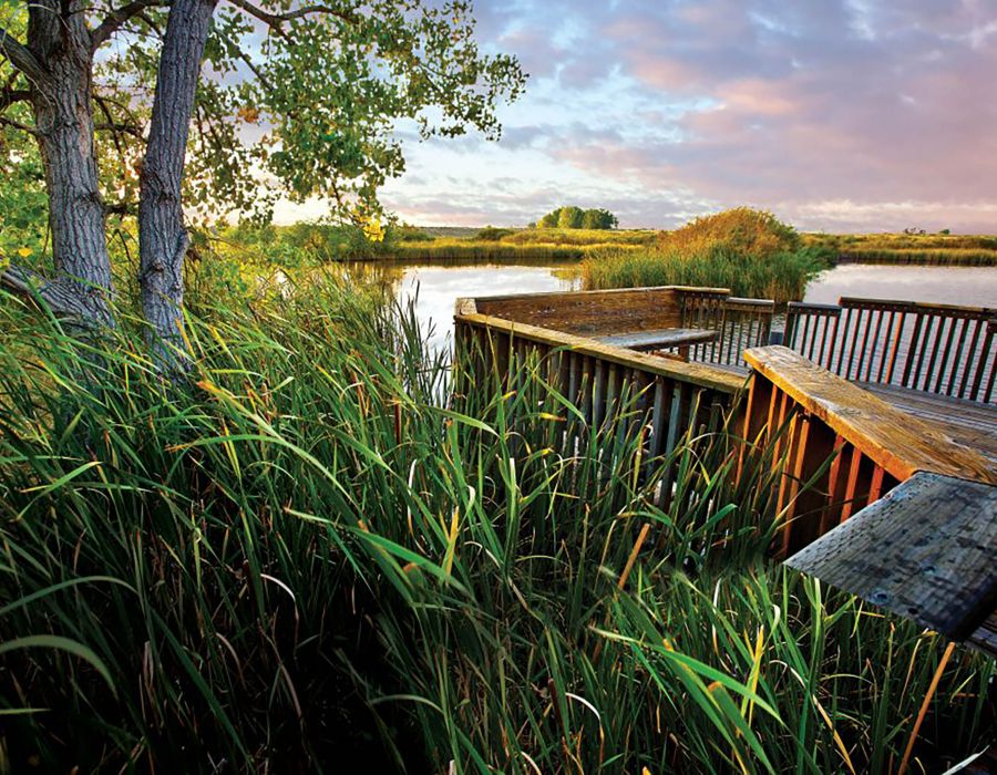Rocky Mountain Arsenal Wildlife Refuge with grasslands and marshes