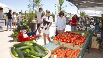 Farmer's Market