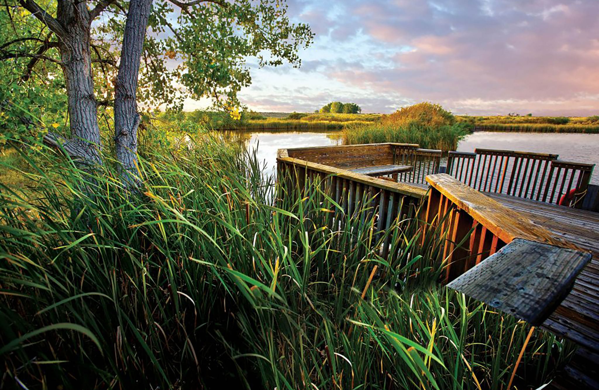 Rocky Mountain Arsenal Wildlife Refuge with grasslands and marshes